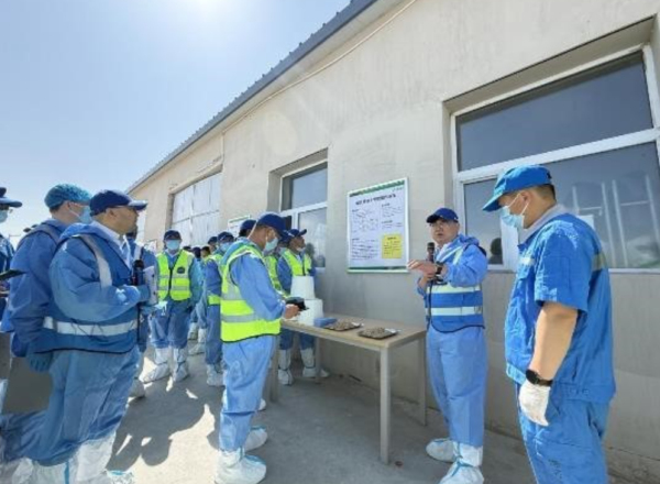 “奶牛金钥匙”新疆行：蒙牛乳业推动牧场降本增效显成效