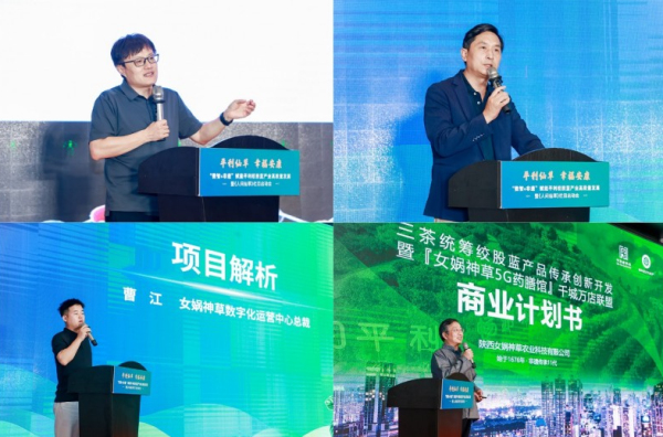 “数智+非遗”赋能平利绞股蓝产业高质量发展暨《人间仙草》栏目启动会在西安举行