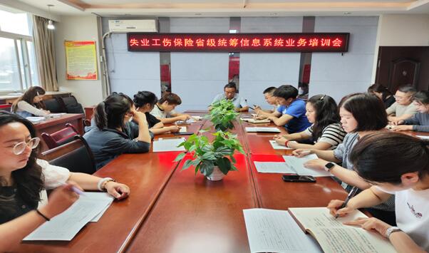 渭南市潼关县人社局：数智赋能社保服务，便捷惠及民生