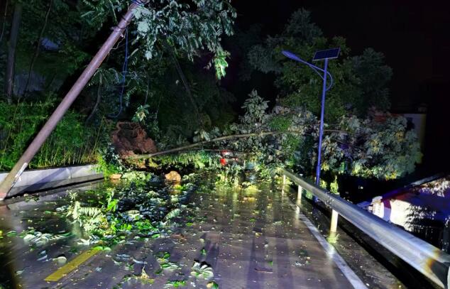 商洛市柞水县：交警雨夜奋战，清除路障保畅通