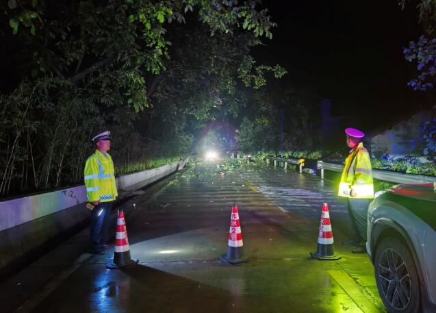 商洛市柞水县：交警雨夜奋战，清除路障保畅通