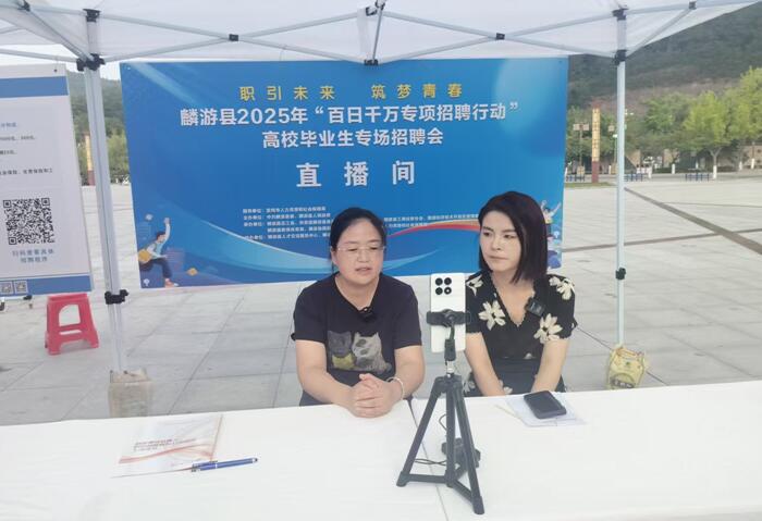 宝鸡市麟游县多部门联动，打造综合性就业服务活动