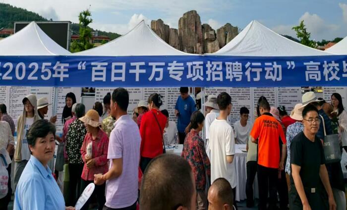 宝鸡市麟游县多部门联动，打造综合性就业服务活动