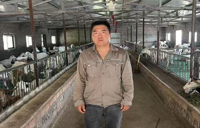 养羊铺就致富路，贫困家庭迎曙光 —— 记宝鸡市陇县八渡镇大力村刘军奇的创业传奇