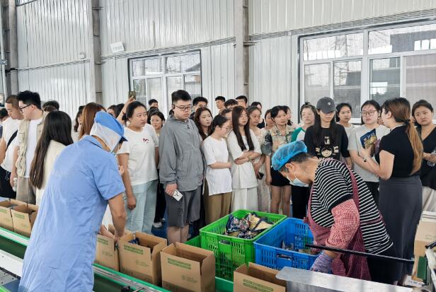 汉中市勉县：企业探秘之旅，开启高校毕业生就业新篇