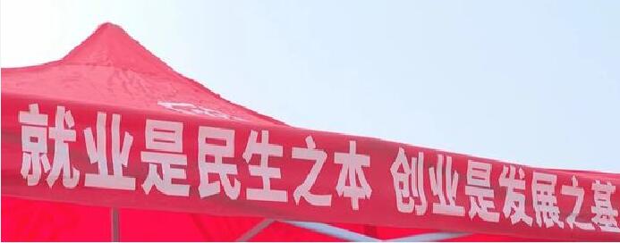 安康旬阳市：毛绒玩具产业 “五变” 求新质