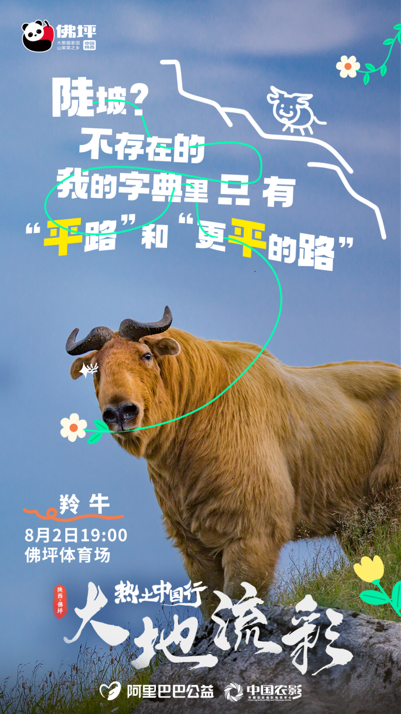 倒计时3天！佛坪 “国宝天团” 新国潮盛会别错