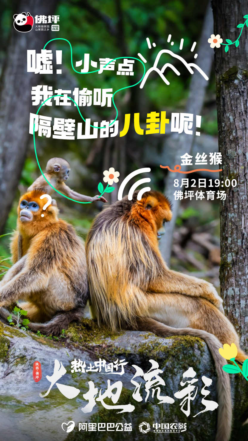 倒计时3天！佛坪 “国宝天团” 新国潮盛会别错