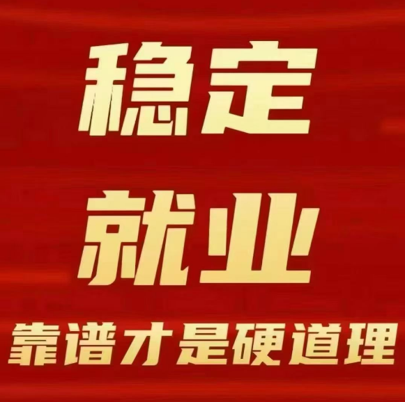 安康旬阳市：打好稳就业增收 “组合拳” 夯实民生幸福 “压舱石”