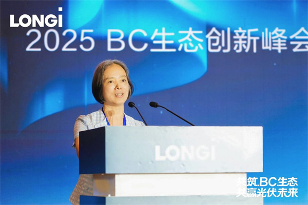 全球BC生态协同创新中心揭牌  BC生态建设“提速”