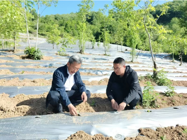 沃野躬耕铸新篇 ——商洛市镇安县双喜村驻村帮扶纪实