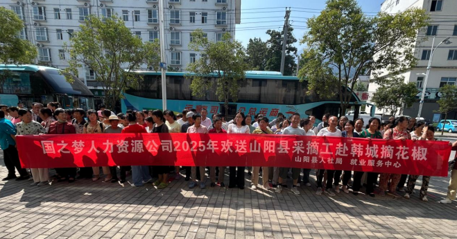 椒红千里路，务工增收忙 —— 商洛市山阳县组织农民工赴韩城摘椒促增收