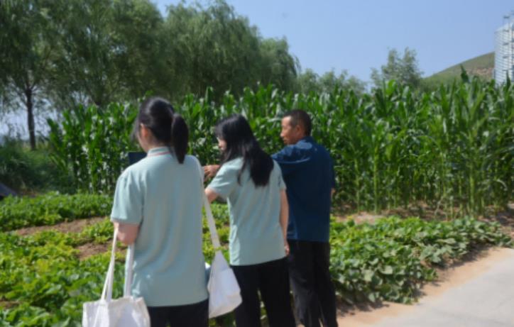 西北政法大学三下乡子洲实践团：多维调研赋能子洲产业振兴，书写青春助力乡村答卷