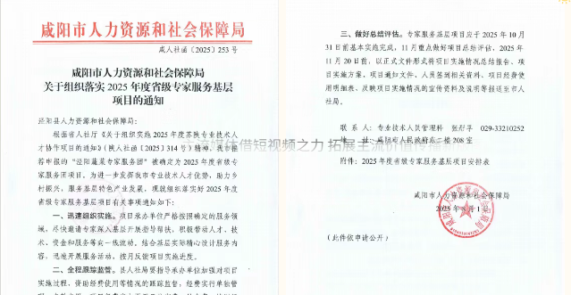 咸阳市泾阳县 “蔬菜专家服务团” 获评省级示范团 助力产业升级