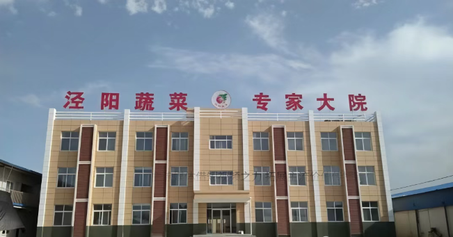 咸阳市泾阳县 “蔬菜专家服务团” 获评省级示范团 助力产业升级