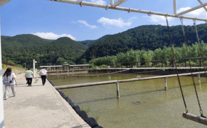 西京学院会计学院：探访千村示范路，解码万村提升策