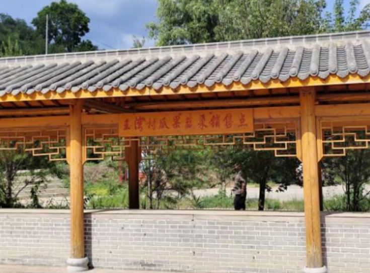 西京学院会计学院：探访千村示范路，解码万村提升策