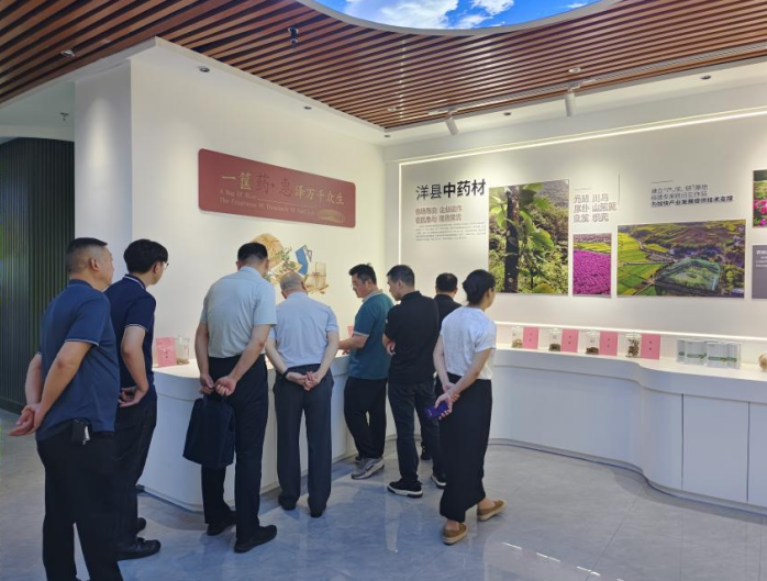 如洋工作组双轮驱动，苏陕协作与招商引资齐发力