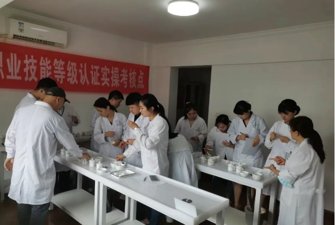 西安市茶艺职业技能培训学校：初、中级评茶师课程 9 月开课