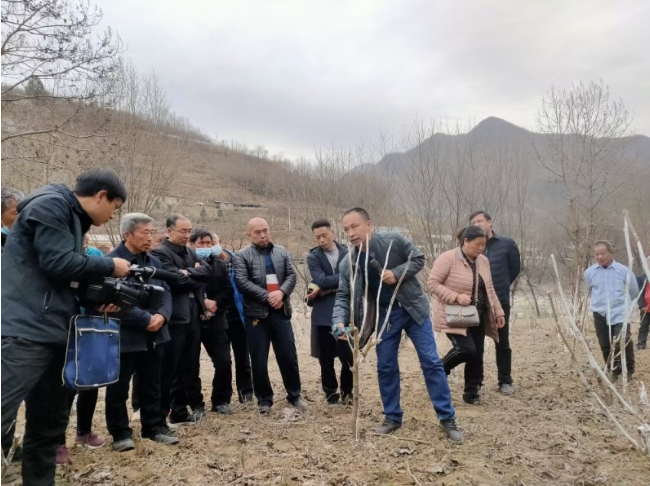 商洛市镇安县庙沟镇双喜村：“千万工程” 引领，绘就和美乡村新景
