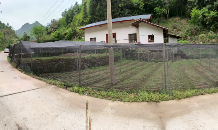 商洛市镇安县庙沟镇双喜村：“千万工程” 引领，绘就和美乡村新景
