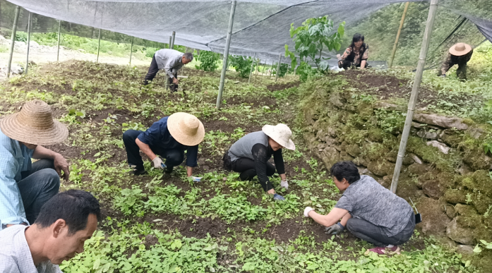 商洛市镇安县庙沟镇双喜村：“千万工程” 引领，绘就和美乡村新景
