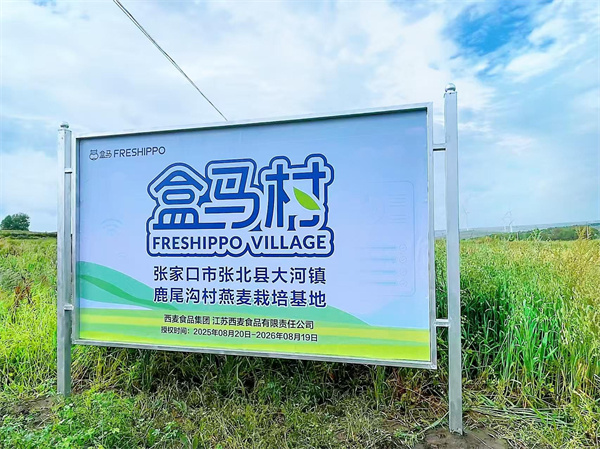 盒马有机燕麦“盒马村”落户张北 打造数字化农业样板