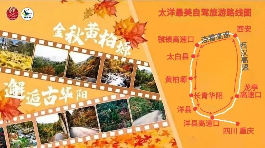 黄柏塬&华阳景区2025秋季赏红叶专线启动