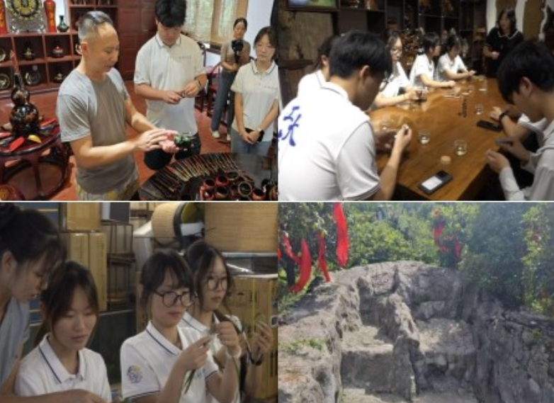  西北工业大学管理学院学子：多元实践丈量祖国大地 青春担当助力乡村振兴