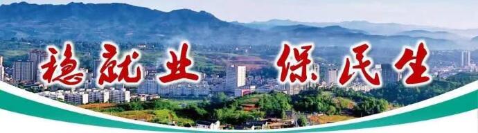 宝鸡市凤县稳就业促增收攻坚成效显著