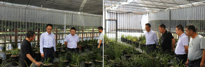 山海牵手共赴振兴：如皋长江镇与洋县金水镇的结对帮扶之路