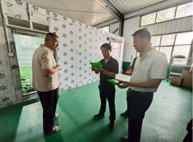 咸阳彬州市：就业政策入企，精准服务纾困