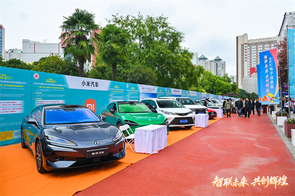 西悦购 趣长安 2025年西安市汽车展销活动（高新区站）开幕