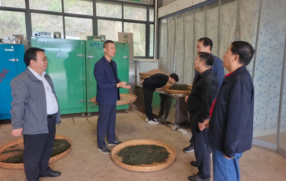 陕西省河南信阳商会回乡考察调研信阳天享茶业有限公司 深耕产业协作助推豫茶西进与价值升级