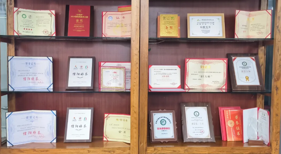 陕西省河南信阳商会回乡考察调研信阳天享茶业有限公司 深耕产业协作助推豫茶西进与价值升级
