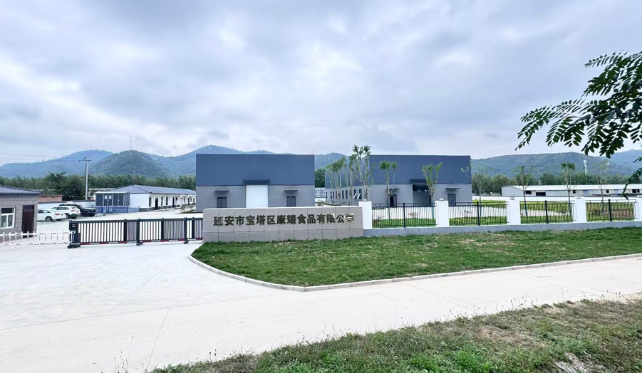 延安市宝塔区河庄坪镇康家沟村：以“千万工程”为笔 绘就农文旅融合振兴画卷