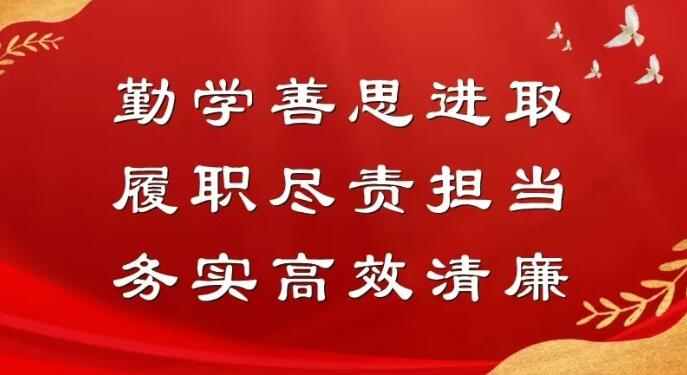 以青春之力 筑人社温情 —— 宝鸡市陈仓区人社青年干部的基层成长答卷