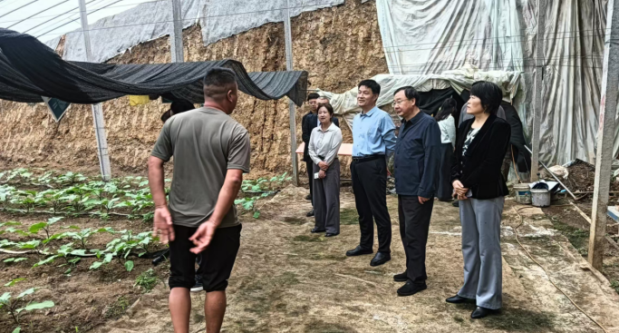 “太白高山菜工” 劳务品牌在徐州绽放光彩