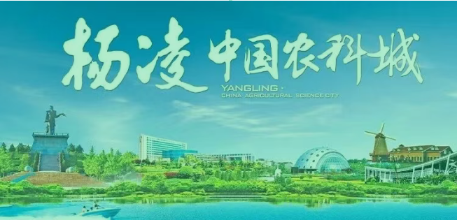 第三十二届杨凌农高会将举办农业科技人力资源交流活动