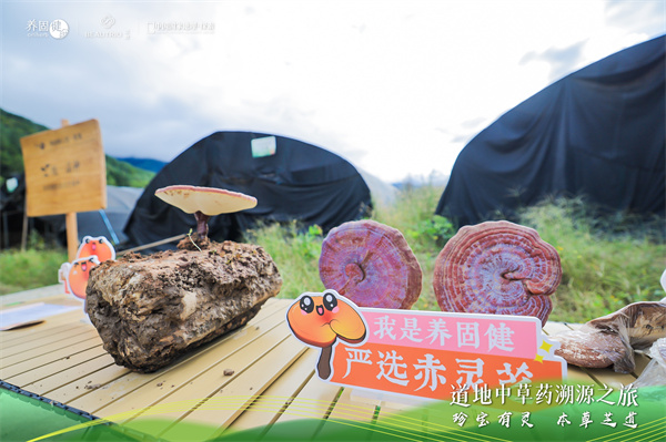 向秦巴山脉去，过四合理生活！养固健灵芝文化溯源落地陕西汉中