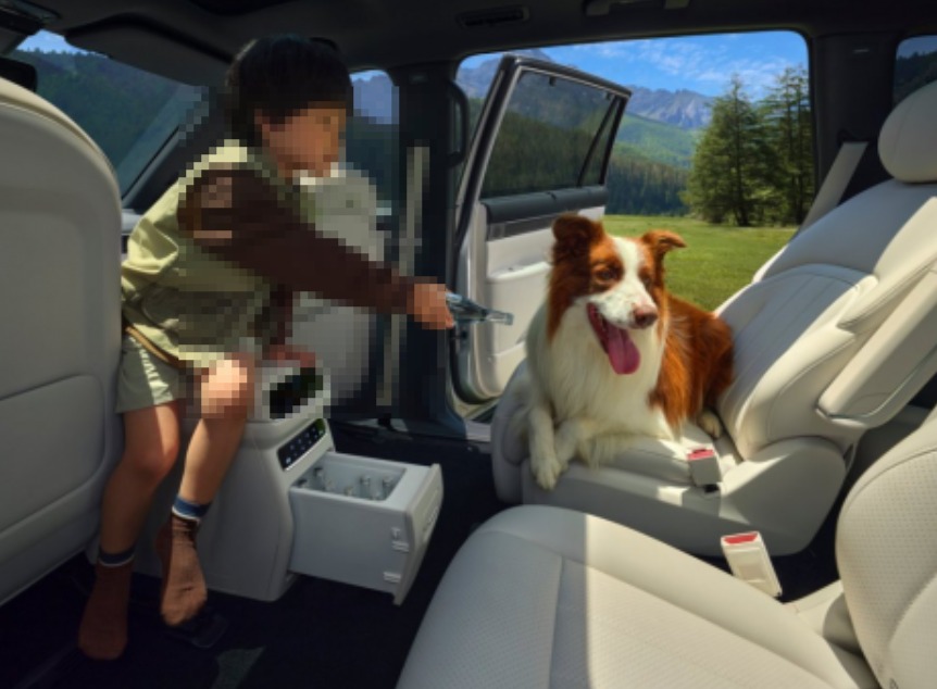 家庭选 SUV 怕踩坑？2026 款东风奕派 eπ008 20 万级高性价比，智能 + 空间全满足